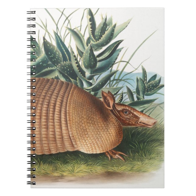 Guld Beige Nine banded Armadillo Anteckningsbok (Framsidan)