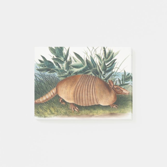 Guld Beige Nine banded Armadillo Post-it Block (Framsida)