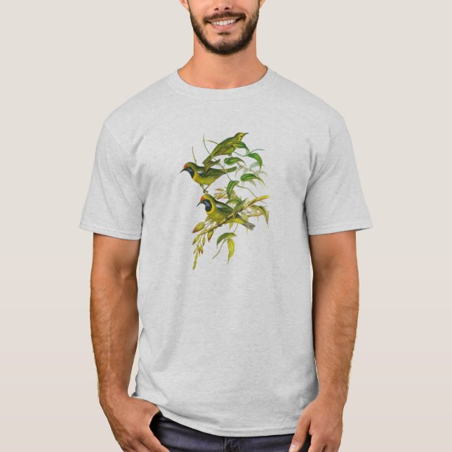 Guld--beklädde Leafbird (Chloropsis aurifrons) Tee (Framsida)