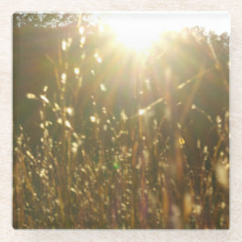 "Guld- blad original- konst av för solljus" vid