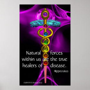 GULD CADUCEUS, 7 CHAKRAS, LILA RO Medical, Yoga Poster