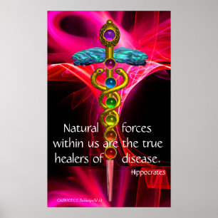 GULD CADUCEUS,7 CHAKRAS,ROSA FRACTAL VÅGAR Medical Poster