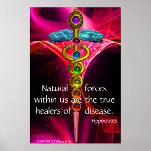 GULD CADUCEUS,7 CHAKRAS,ROSA FRACTAL VÅGAR Medical Poster