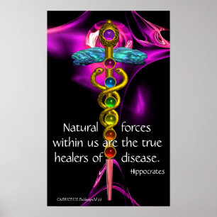 GULD CADUCEUS,7 CHAKRAS, ULTRA VIOLET Medical,Yoga Poster