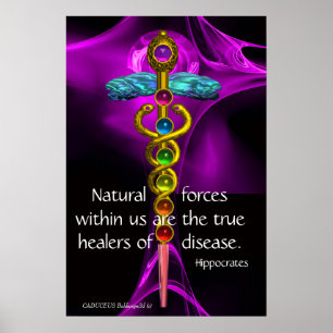 GULD CADUCEUS, 7 CHAKROR, PURPUR ROS Medicinsk, Yo Poster