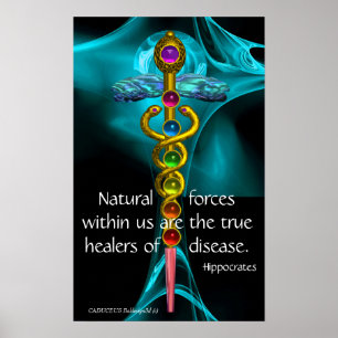 GULD CADUCEUS OCH 7 CHAKRAN I BLÅ FRAKTAL ROS POSTER