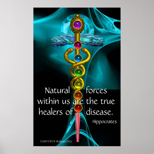 GULD CADUCEUS OCH 7 CHAKRAN I BLÅ FRAKTAL ROS POSTER (Framsidan)