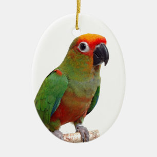 Guld--capped conure julgransprydnad keramik
