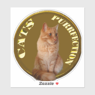 Guld Cat Mynt med fingerlapp. Klistermärken