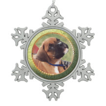 Guld cirklar fotoSnowflakeprydnaden