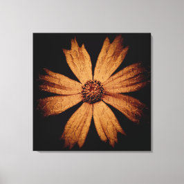 Guld Cosmos Flower on Black Canvastryck