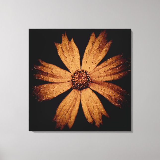 Guld Cosmos Flower on Black Canvastryck (Framsida)