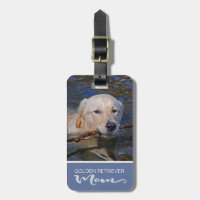 Guld- din hund för Retrievermamma mellanlägg foto
