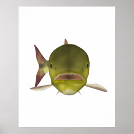 Guld Dorado Fiskhuvud Poster