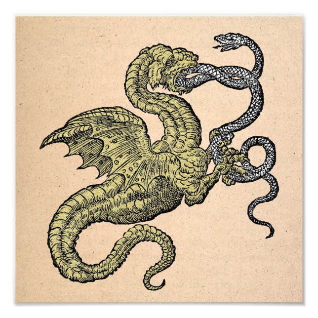 Guld Dragon vs. Silver Snake Fototryck (Framsidan)
