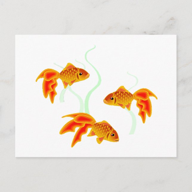 Guld Fishies Vykort (Framsida)