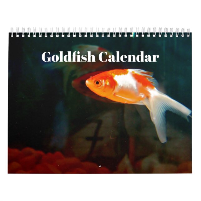 Guld fisk 2027 kalender (Omslag)