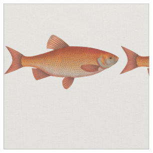 Guld- fisk för vintage tyg