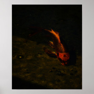 guld fisk poster