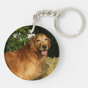 Guld- flåsa för Retriever