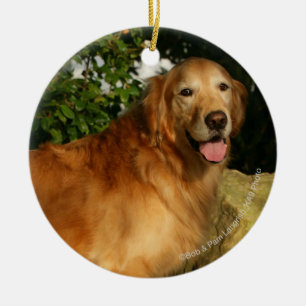 Guld- flåsa för Retriever Julgransprydnad Keramik