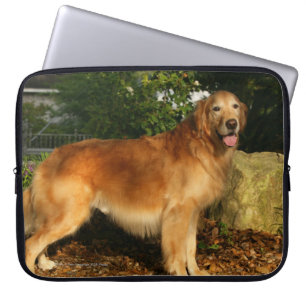 Guld- flåsa för Retriever Laptop Fodral