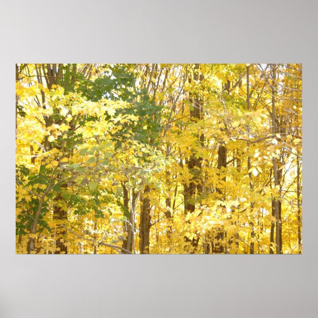 Guld Foliage Poster (Framsidan)
