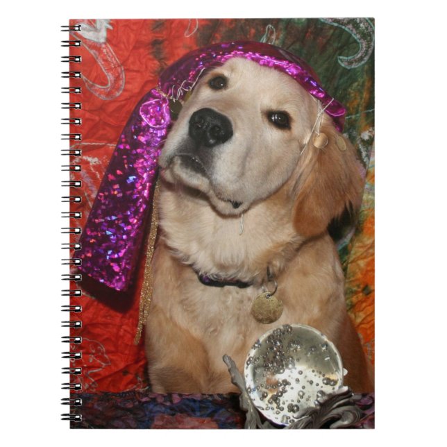 Guld- förmögenhetkassör anteckningsbok med spiral (Framsidan)