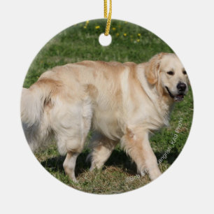 Guld- gå för Retriever Julgransprydnad Keramik