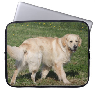 Guld- gå för Retriever Laptop Fodral