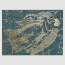 Guld Galaxy Star Karta-seriens konstruktion 11