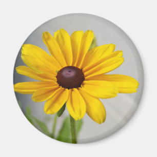 Guld- gul blomma magnet
