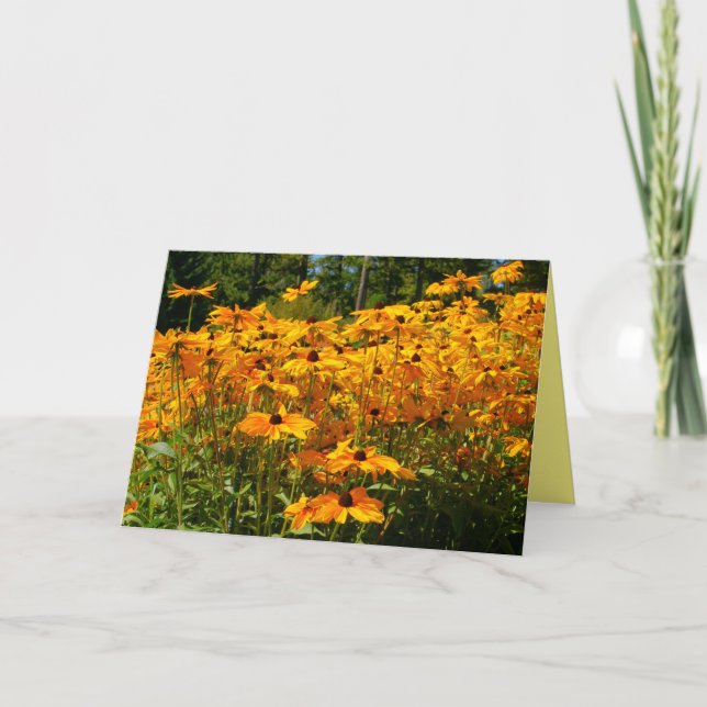 Guld gula blommor, trädgårdsodling, blommigt, natu kort (Framsida)