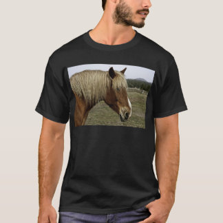 Guld- häst tee shirt
