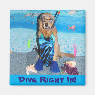 Guld- höger RetrieverSnorkeler dyk in Magnet
