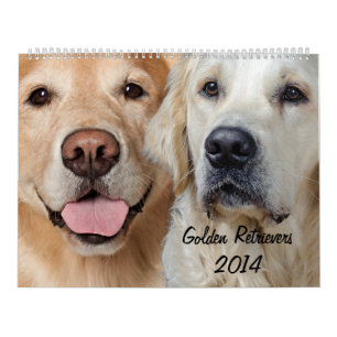 Guld- kalender för Retriever 2014