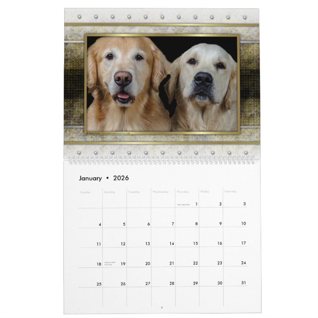Guld- kalender för Retriever 2014 (Jan 2026)
