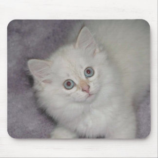 Guld- kattunge Mousepad Musmatta