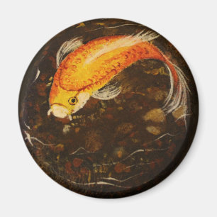 Guld- Koi Magnet