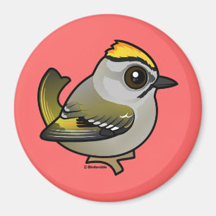 Guld--krönad Kinglet Magnet