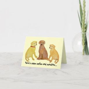 Guld- Labrador Retrievers får det väl kortet Kort