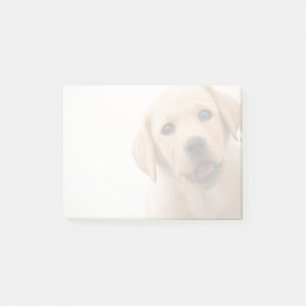 Guld- Labrador valp Post-it Block