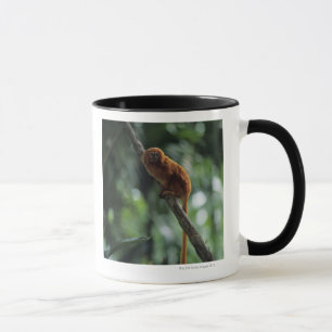 Guld- lejon tamarin (den Leontopithecus rosaliaen) Mugg