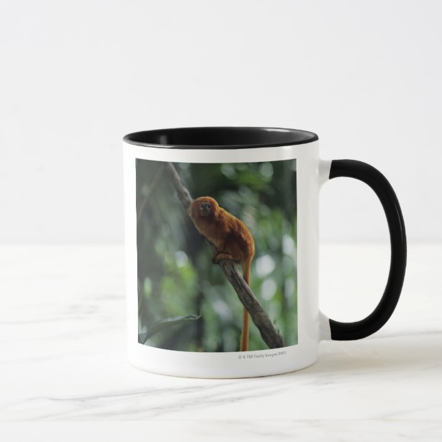 Guld- lejon tamarin (den Leontopithecus rosaliaen) Mugg (Höger)