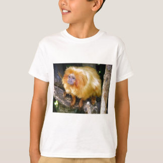 Guld- lejon Tamarin Tee