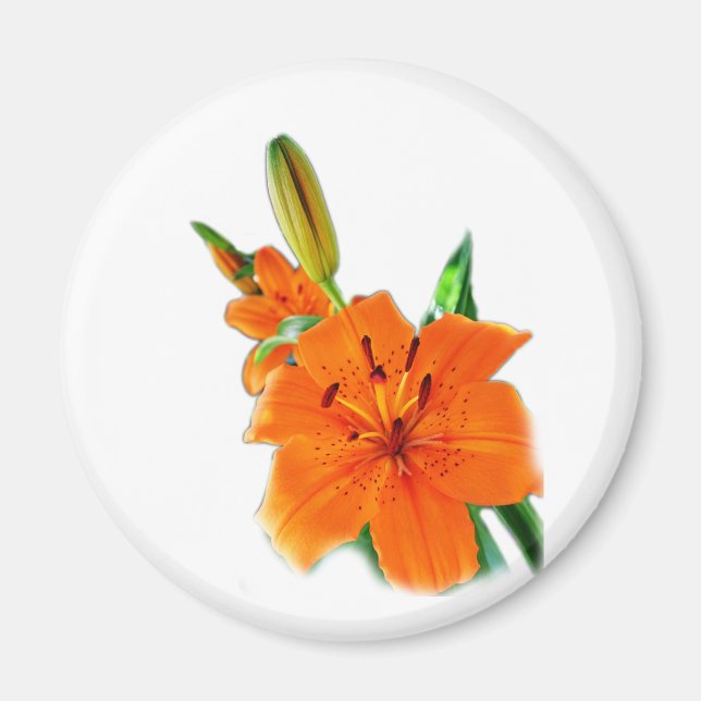 guld lilje blommor magnet (Framsidan)