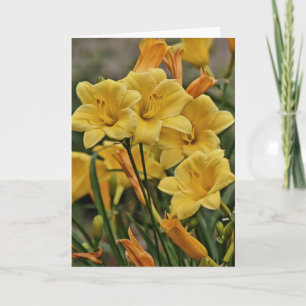 Guld Lily-skriptkort Psalm 119:127 Kort