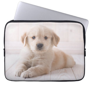 Guld- ljuga för Retriever besegrar Laptop Sleeve