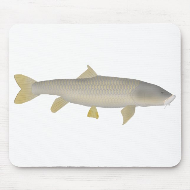 Guld Mahseer Musmatta (Framsidan)