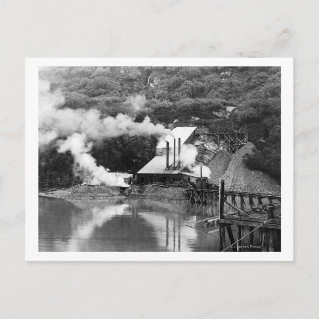 Guld Mine in Valdez, Alaska Photograph Vykort (Framsida)